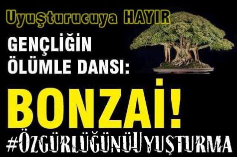 BONZA� �LLET�...