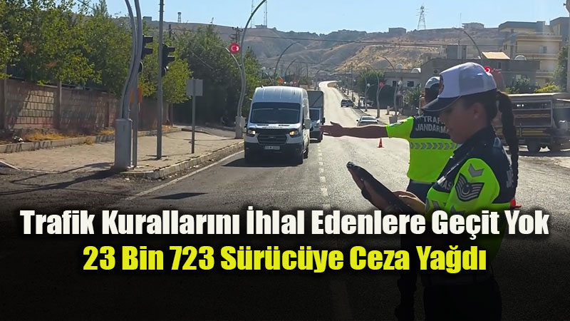 1 Ayda 455 S�r�c�n�n Ehliyetine El Konuldu: Denetimler Aral�ks�z S�r�yor