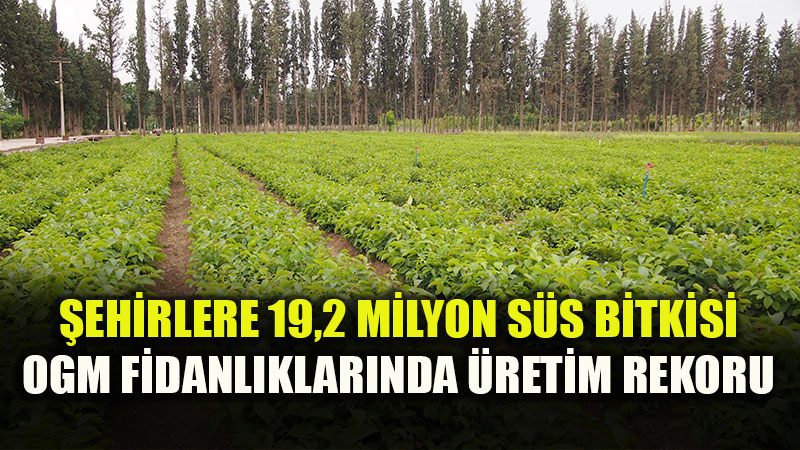 OGM�den Dev Kent Esteti�i Hamlesi: 136 Orman Fidanl���nda Gece G�nd�z �retim