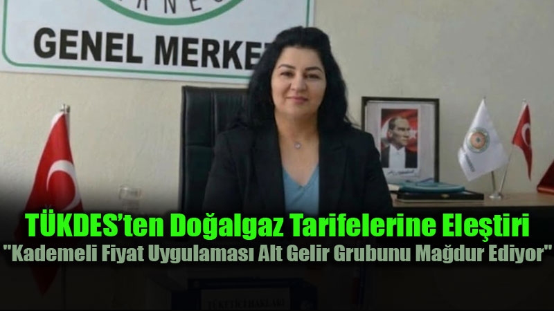 Do�algaz Kademeli Fiyat Sistemine ’Sosyal Devlet’ Tepkisi: "Dar Gelirli Ve Kalabal�k Aileler Y�ksek Faturalarla Kar�� Kar��ya"