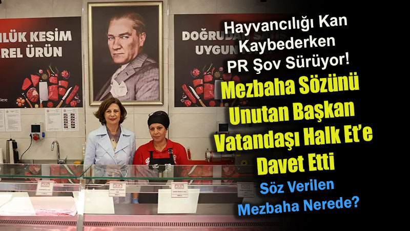 �irintepe Ve S�tl�ce�de Esnaf Gezisi, Mezbaha S�z�nde Sessizlik