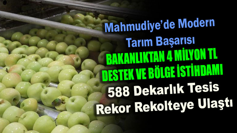Mahmudiye�de Modern Tar�m Ba�ar�s�: 588 Dekarl�k Tesis Rekor Rekolteye Ula�t�