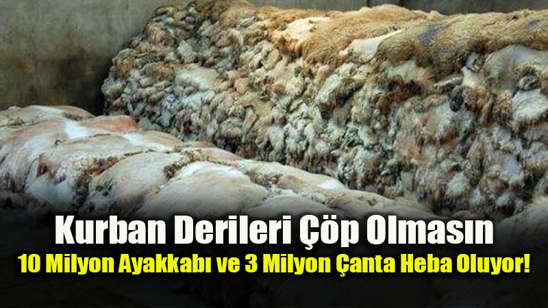 Kurban derilerini ekonomiye kazand�ral�m �a�r�s� 