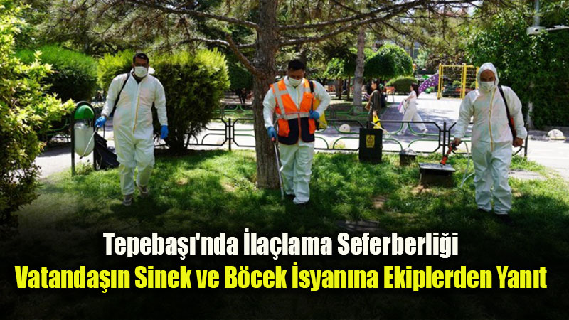 Tepeba���nda Sinek ve Larva Mesaisi: Yo�un �ikayetlerin Ard�ndan Ekipler Sahaya �ndi