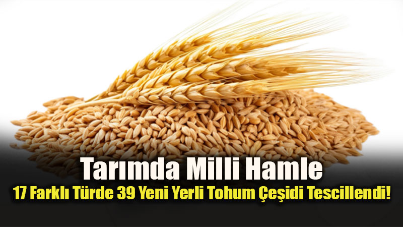 Bakan Yumakl� M�jdeyi Verdi: Milli �e�it Listesi’ndeki Yerli Tohum Say�s� 1087 Oldu!