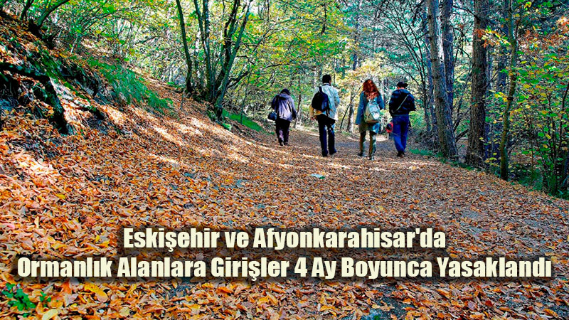 Orman Yang�nlar�na Kar�� S�k� Tedbir: Eski�ehir ve Afyon�da Ormanlara Giri� Yasa�� Ba�l�yor