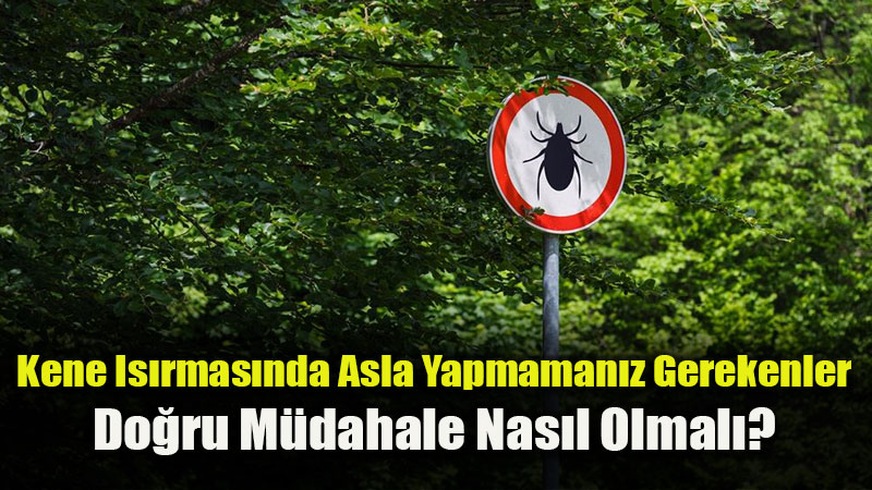 KKKA Kabusu Geri D�nd�: Kene Is�r���nda �lk M�dahale Hayat Kurtar�yor!