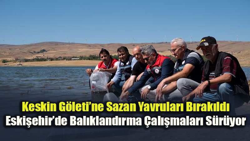Keskin G�leti�nde Bal�kland�rma Mesaisi: Sazan Yavrular� Suyla Bulu�tu
